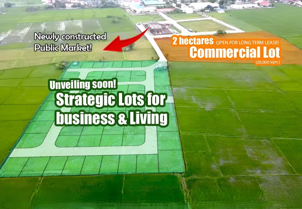 Calauan Laguna Commercial Lot for Rent 2