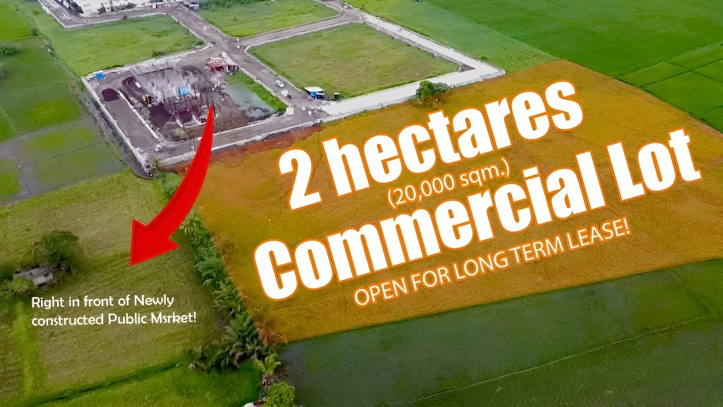 Calauan Laguna Commercial Lot for Rent