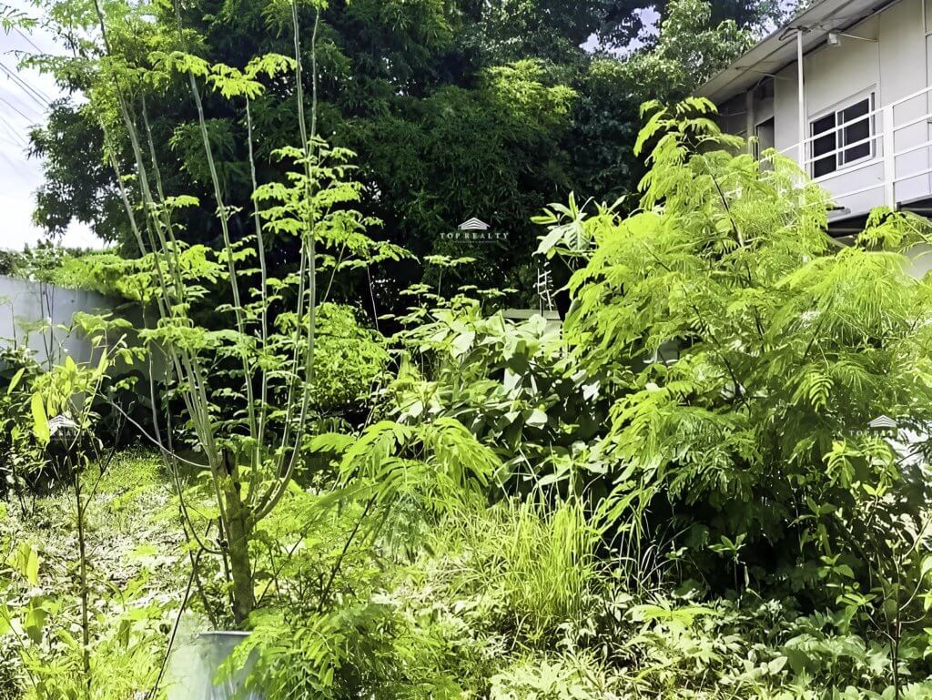 Lot for Rent in Quezon City 3