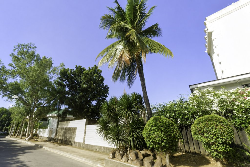 Commercial Lot for lease in Quezon City 1