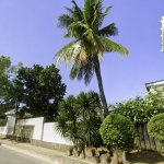 Commercial Lot for lease in Quezon City 1