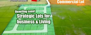 Calauan Laguna Commercial Lot for Rent 2