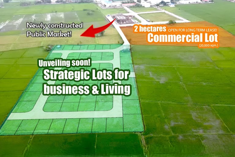 Calauan Laguna Commercial Lot for Rent 2
