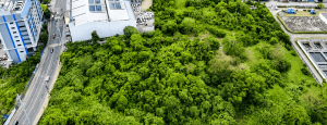 Commercial Lot for Rent in San Jose Del Monte Bulacan 4
