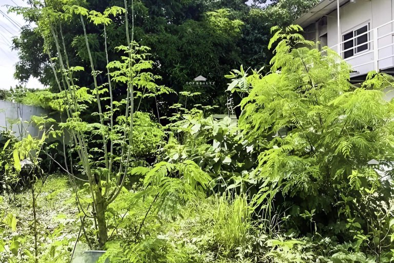 Lot for Rent in Quezon City 3