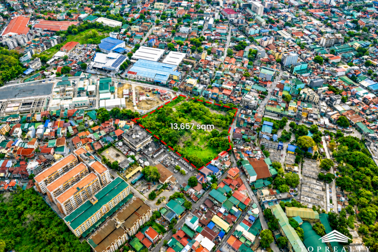 Mandaluyong City Lot for Rent 3