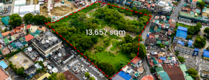 Mandaluyong City Lot for Rent