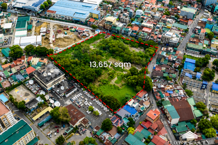 Mandaluyong City Lot for Rent